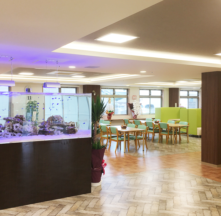 姶良 市 ば くさい